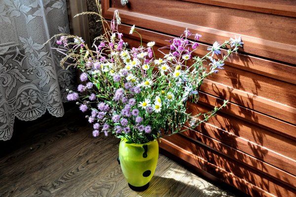 Народное голосование. ТОП-20 фотографий за 16.07.2020&nbsp;г.