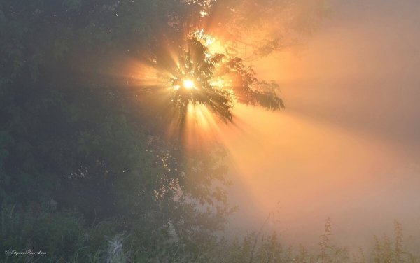 Народное голосование. ТОП-20 фотографий за 19.07.2020&nbsp;г.