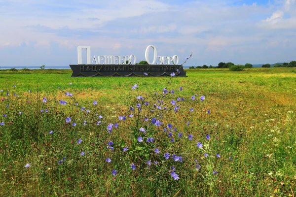 Народное голосование. ТОП-20 фотографий за 22.07.2020&nbsp;г.