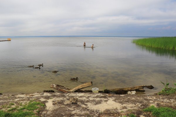 Народное голосование. ТОП-20 фотографий за 24.07.2020&nbsp;г.