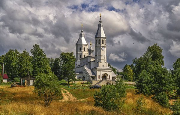 Народное голосование. ТОП-20 фотографий за 11.08.2020&nbsp;г.