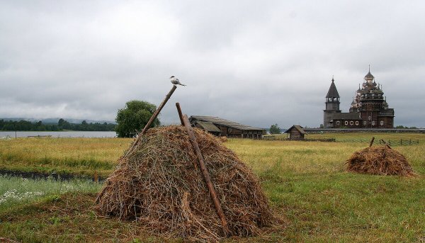 Народное голосование. ТОП-20 фотографий за 17.08.2020&nbsp;г.