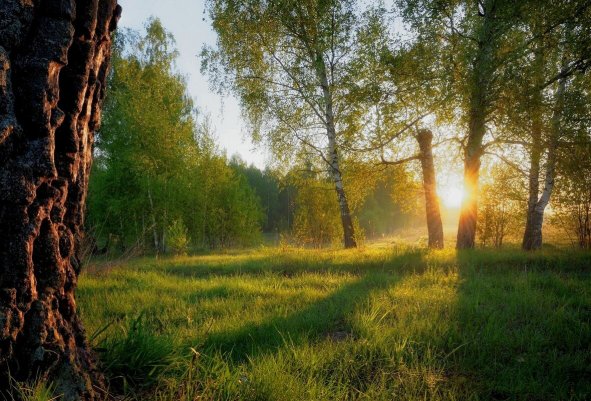Народное голосование. ТОП-20 фотографий за 09.09.2020&nbsp;г.