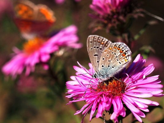 Народное голосование. ТОП-20 фотографий за 15.09.2020&nbsp;г.