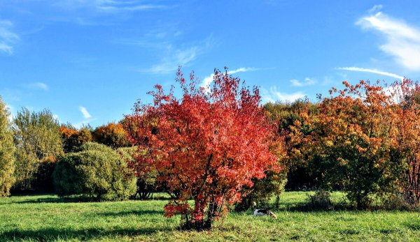 Народное голосование. ТОП-20 фотографий за 02.10.2020&nbsp;г.