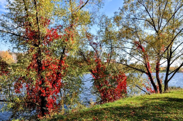 Народное голосование. ТОП-20 фотографий за 06.10.2020&nbsp;г.
