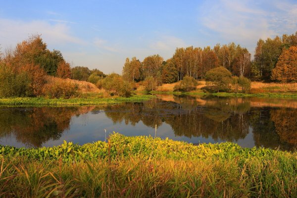 Народное голосование. ТОП-20 фотографий за 09.10.2020&nbsp;г.