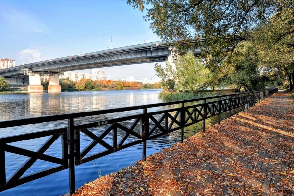 Народное голосование. ТОП-20 фотографий за 18.10.2020&nbsp;г.