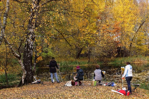 Народное голосование. ТОП-20 фотографий за 19.10.2020&nbsp;г.