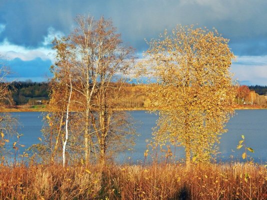 Народное голосование. ТОП-20 фотографий за 25.10.2020&nbsp;г.