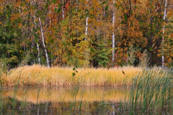 Народное голосование. ТОП-20 фотографий за 26.10.2020&nbsp;г.