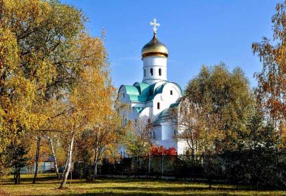 Народное голосование. ТОП-20 фотографий за 27.10.2020&nbsp;г.