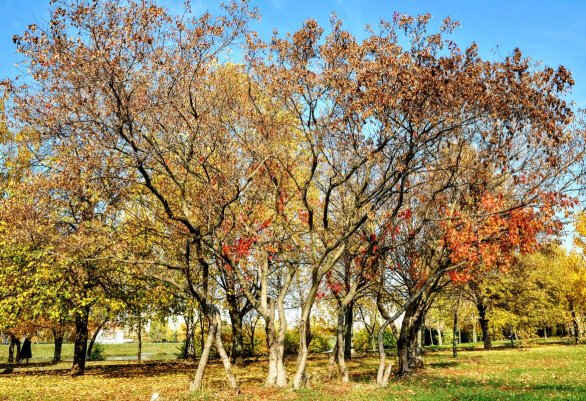 Народное голосование. ТОП-20 фотографий за 29.10.2020&nbsp;г.