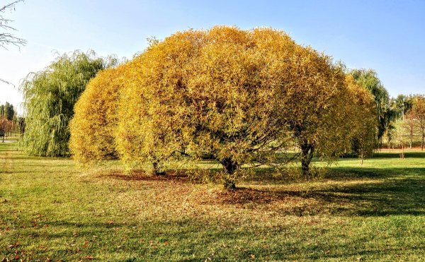 Народное голосование. ТОП-20 фотографий за 31.10.2020&nbsp;г.