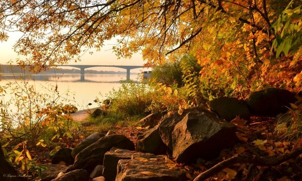 Народное голосование. ТОП-20 фотографий за 01.11.2020 г.