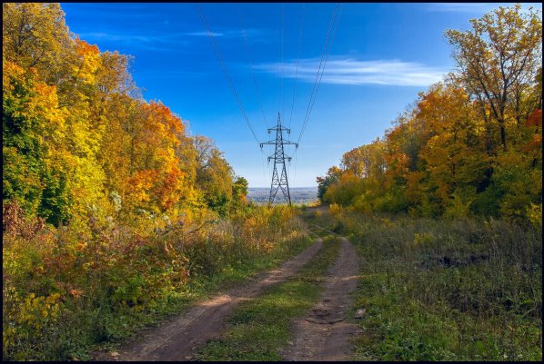 Народное голосование. ТОП-20 фотографий за 11.11.2020 г.