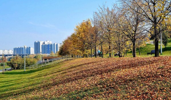 Народное голосование. ТОП-20 фотографий за 16.11.2020 г.