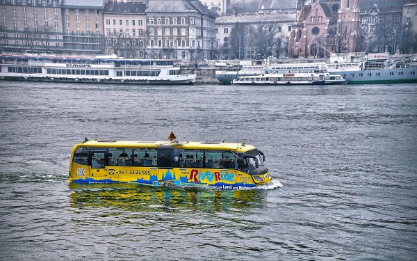 Народное голосование. ТОП-20 фотографий за 17.11.2020 г.