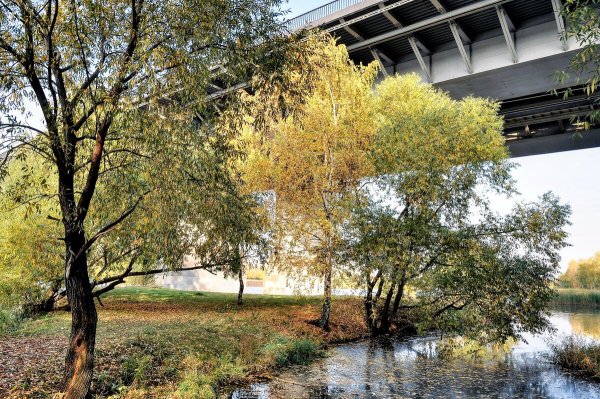 Народное голосование. ТОП-20 фотографий за 18.11.2020 г.