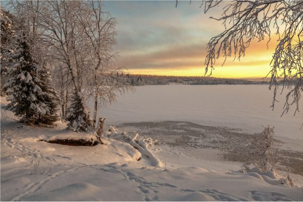 Народное голосование. ТОП-20 фотографий за 26.11.2020 г.