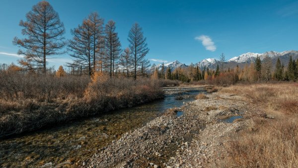 Народное голосование. ТОП-20 фотографий за 27.11.2020 г.