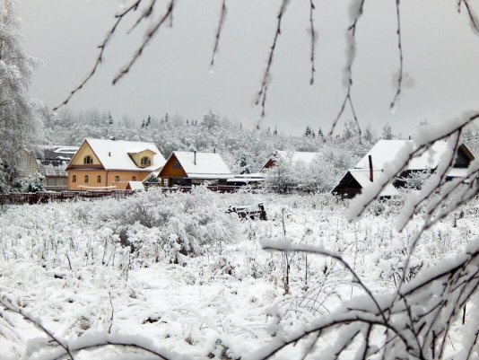 Народное голосование. ТОП-20 фотографий за 07.12.2020 г.