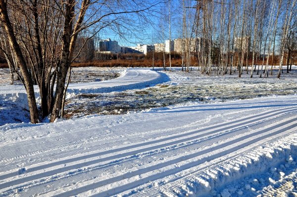 Народное голосование. ТОП-20 фотографий за 10.12.2020 г.