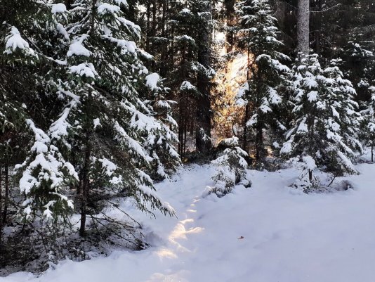 Народное голосование. ТОП-20 фотографий за 15.12.2020 г.