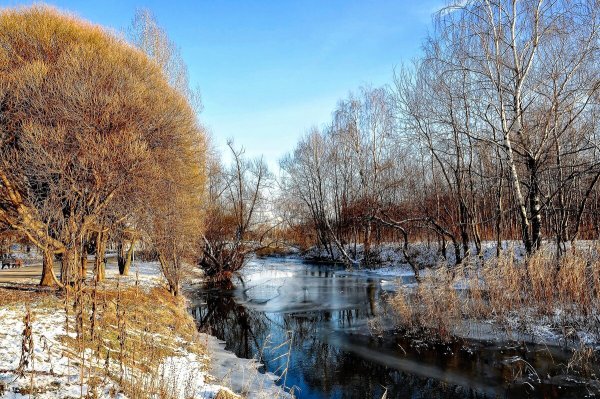Народное голосование. ТОП-20 фотографий за 16.12.2020 г.