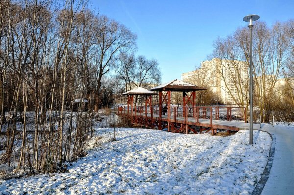 Народное голосование. ТОП-20 фотографий за 18.12.2020 г.