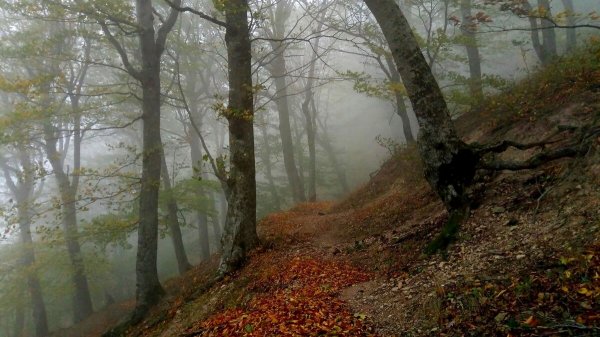 Народное голосование. ТОП-20 фотографий за 21.12.2020 г.