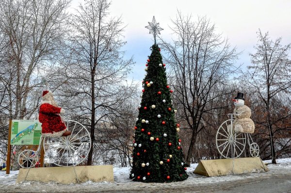 Народное голосование. ТОП-20 фотографий за 24.12.2020 г.