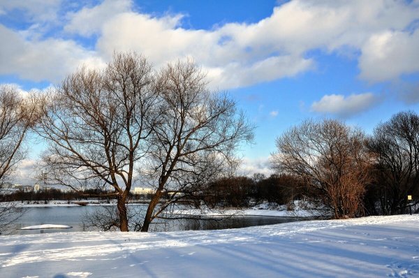 Народное голосование. ТОП-20 фотографий за 28.12.2020 г.