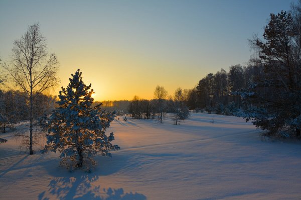 Народное голосование. ТОП-20 фотографий за 02.01.2021&nbsp;г.