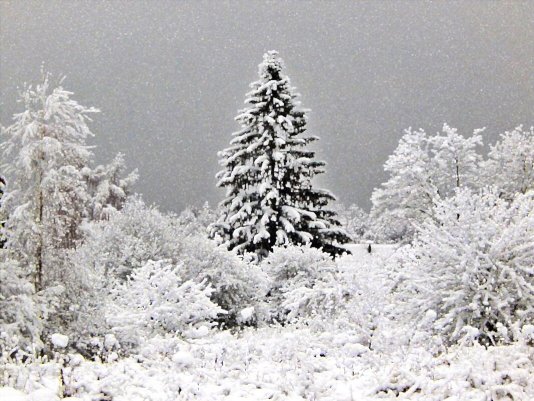 Народное голосование. ТОП-20 фотографий за 04.01.2021&nbsp;г.