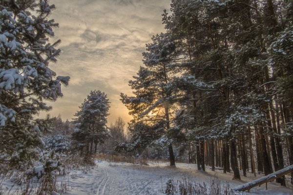 Народное голосование. ТОП-20 фотографий за 14.01.2021&nbsp;г.
