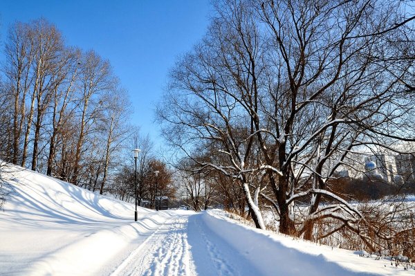 Народное голосование. ТОП-20 фотографий за 21.01.2021&nbsp;г.