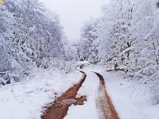 Народное голосование. ТОП-20 фотографий за 23.01.2021&nbsp;г.