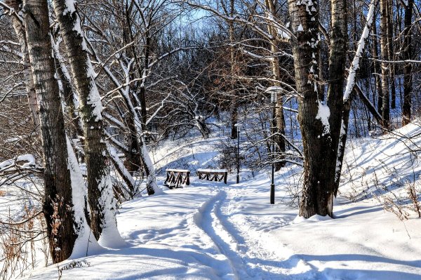 Народное голосование. ТОП-20 фотографий за 25.01.2021&nbsp;г.