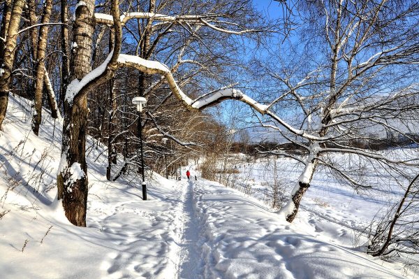 Народное голосование. ТОП-20 фотографий за 27.01.2021&nbsp;г.