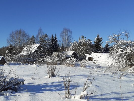 Народное голосование. ТОП-20 фотографий за 30.01.2021 г.