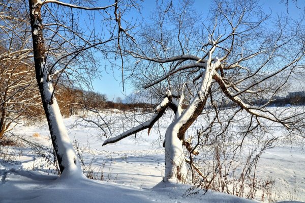 Народное голосование. ТОП-20 фотографий за 31.01.2021 г.