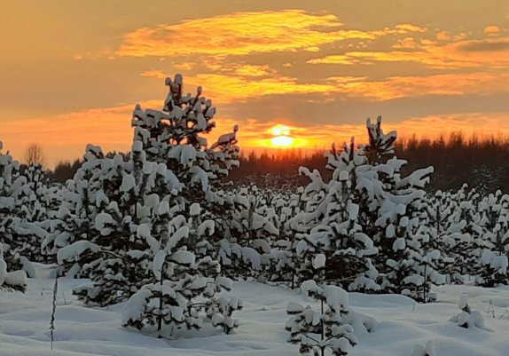 Народное голосование. ТОП-20 фотографий за 03.02.2021 г.