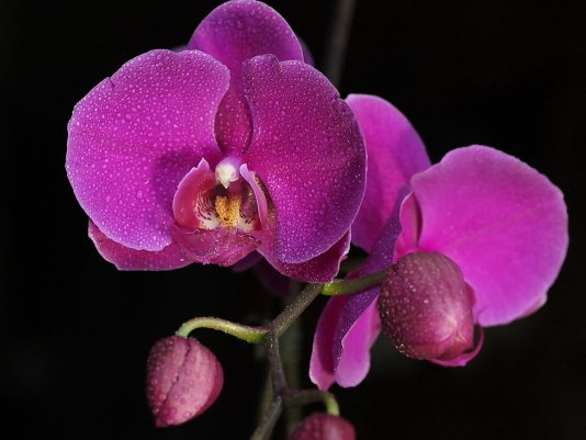 Народное голосование. ТОП-20 фотографий за 04.02.2021 г.
