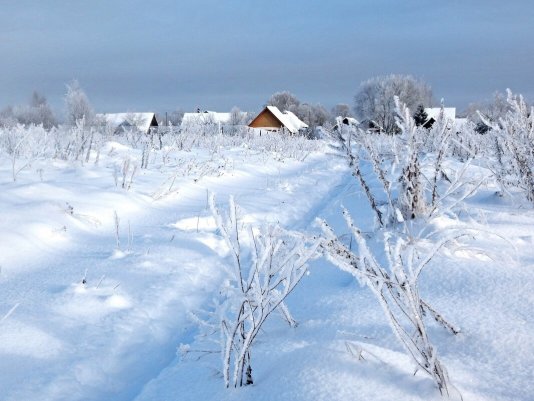 Народное голосование. ТОП-20 фотографий за 11.02.2021 г.