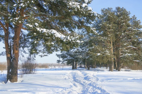Народное голосование. ТОП-20 фотографий за 17.02.2021 г.