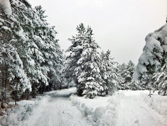 Народное голосование. ТОП-20 фотографий за 25.02.2021 г.