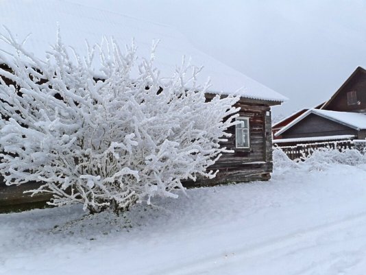 Народное голосование. ТОП-20 фотографий за 27.02.2021 г.