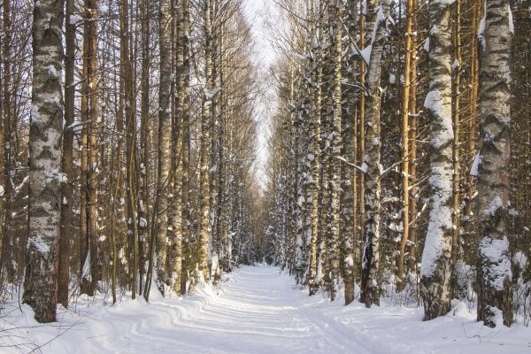 Народное голосование. ТОП-20 фотографий за 02.03.2021 г.