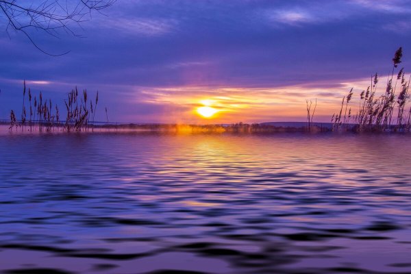 Народное голосование. ТОП-20 фотографий за 04.03.2021 г.